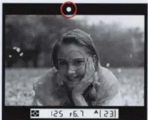 NIKON E2s - Check the focus indicator and fully depress the shutter release button. - 1
