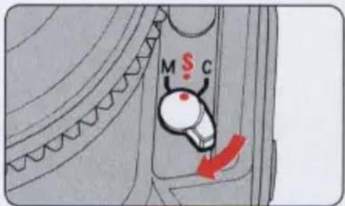 M S C