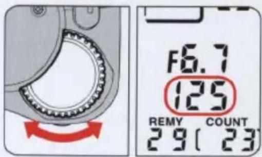 16.7 125 REMY COUNT 29(23)