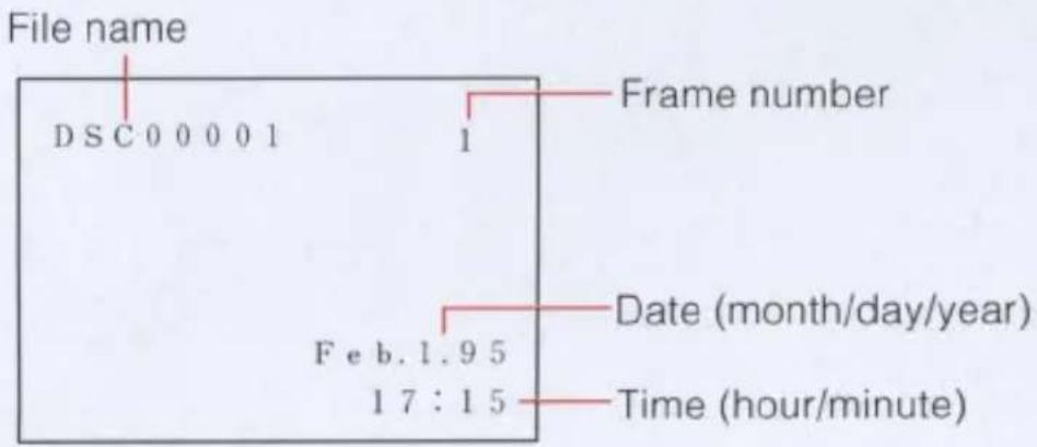 File name D S C 0 0 0 0 1 Frame number 1 Date (month/day/year) F e b. 1. 9 5 17 : 1 5 Time (hour/minute)