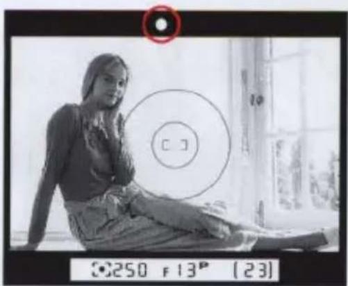 NIKON E2s - Recompose the picture and shoot while keeping the AE-L button pressed. - 1