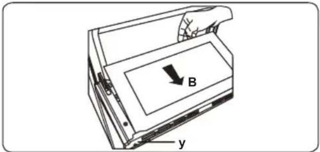 B y