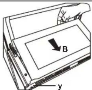 B y