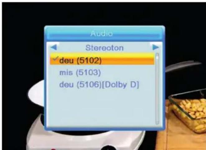 Audio Stereoton ✓ deu (5102) mis (5103) deu (5106)[Dolby D]