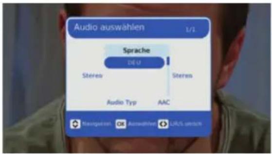 Audio auswahlen 1/1 Sprache DEU Stereo Stereo Audio Typ AAC Navigateln OK Auswahlen L/R/S utertich