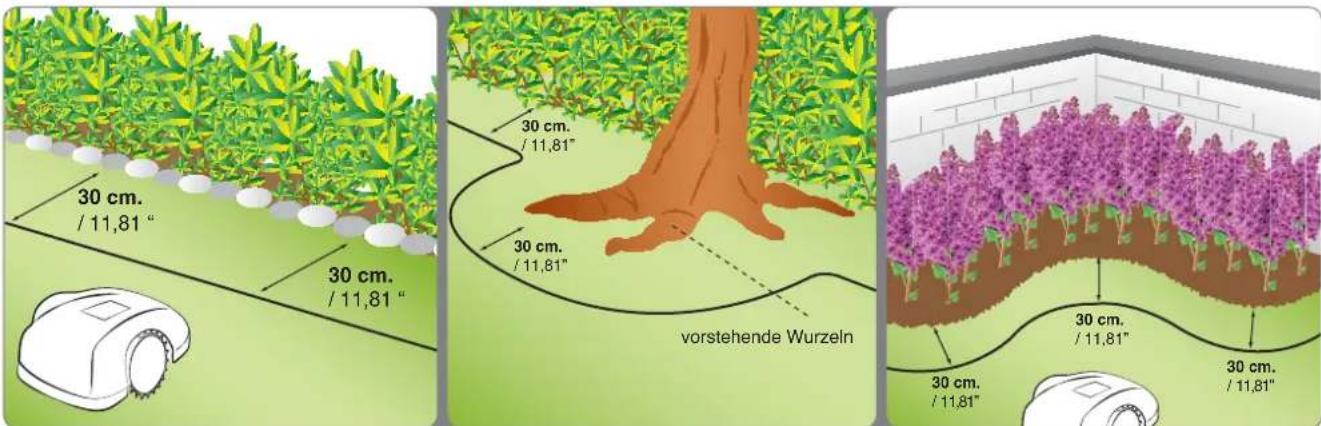 30 cm. / 11,81" 30 cm. / 11,81" 30 cm. / 11,81" vorstehende Wurzeln 30 cm. / 11,81" 30 cm. / 11,81"