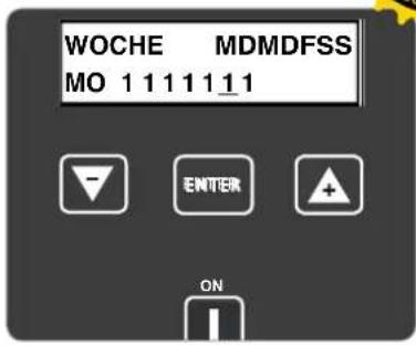 WOCHE MDMDFSS MO 1 1 1 1 1_1 ENTER ON