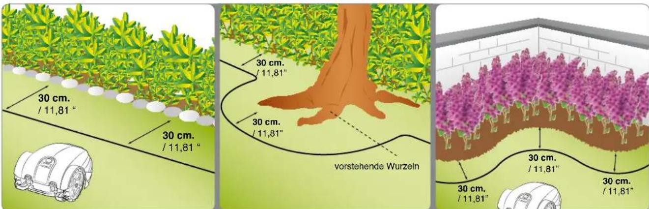 30 cm. / 11,81 " 30 cm. / 11,81 " 30 cm. / 11,81 " vorstehende Wurzeln 30 cm. / 11,81 " 30 cm. / 11,81 " 30 cm. / 11,81"