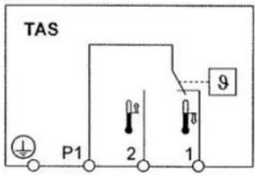 TAS P1 2 1 9