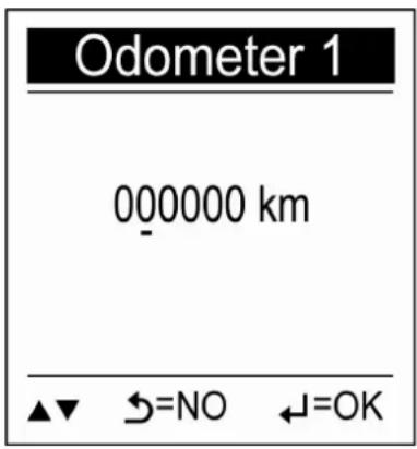 Odometer 1 000000 km ▲▼ →=NO ←=OK