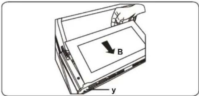 B y