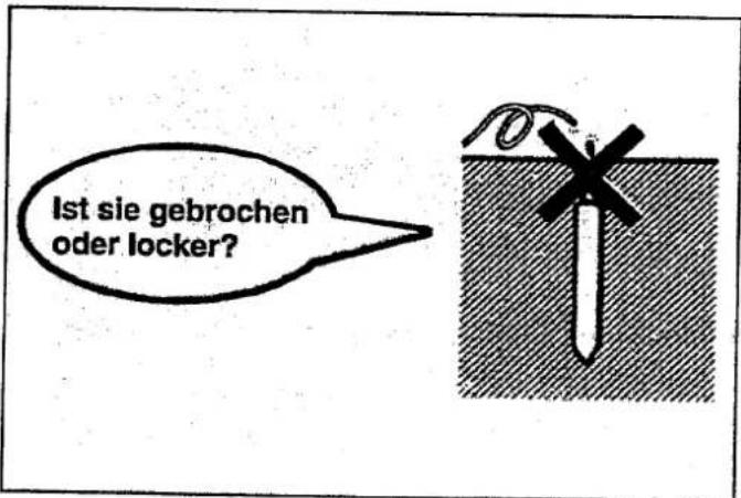 Ist sie gebrochen oder locker?