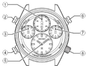 Technical diagram of a wristwatch with numbered parts for identification and labeling
