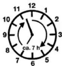 ca. 7 h