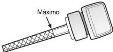 Máximo