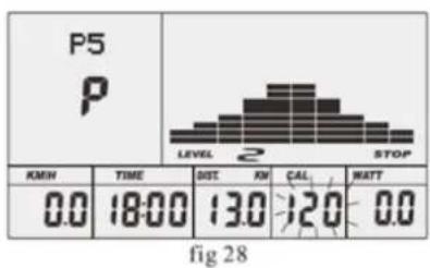 P5 P LEVEL 2 STOP KMIN TIME DIST KM CAL WATT 0.0 18:00 13.0 12.0 0.0 fig 28