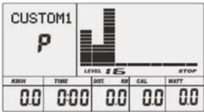 CUSTOM1 P LEVEL 16 STOP KWH TIME DIST KM CAL WATT 0.0 0:00 0.0 0.0 0.0