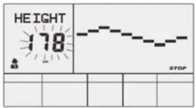 HEIGHT 178 STOP