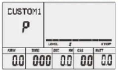 CUSTOM1 P LEVEL 2 S Y KOP FORM TIME DISC WM CALL RUNT 0.0 0.00 0.0 0.0 0.0