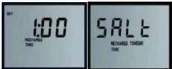 SAT 1:00 RECHANGE TIME SALT RECHANGE TONGH TIME