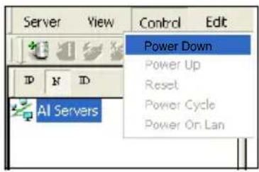 Server View Control Edit Power Down Power Up Reset Power Cycle Power On Lan AI Servers