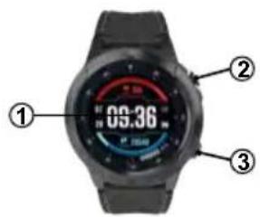 FontaFit Talis 480CH - Panoramica - 1