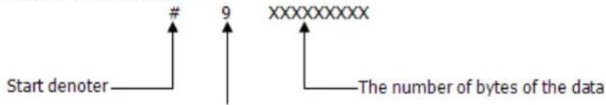 Start denoter # 9 XXXXXXXXX The number of bytes of the data