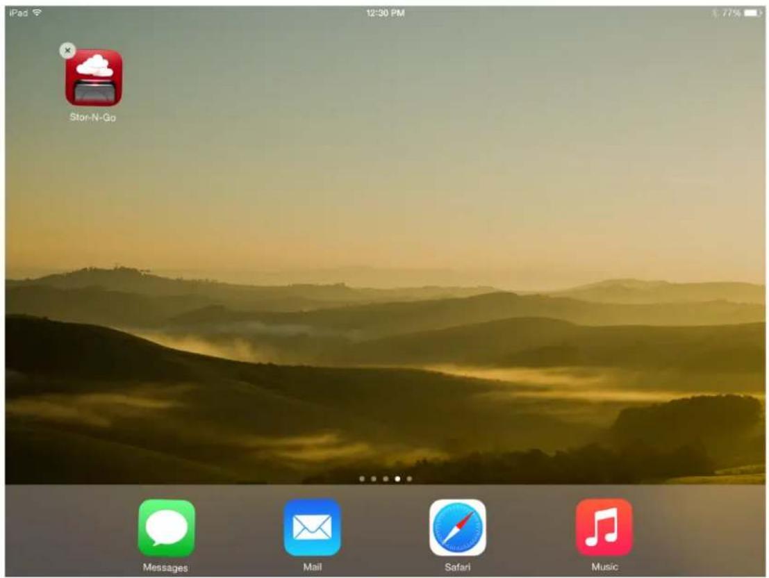 iPad 12:30 PM Stor-Ni-Go Messages Mail Safari Music