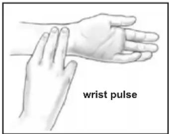 wrist pulse