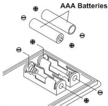 AAA Batteries