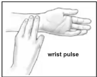 wrist pulse