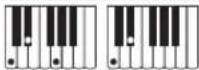 CASIO CT-X8000IN - Fingering Guide - 2