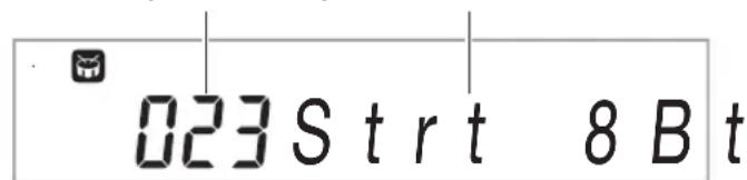 023 Strt 8 B t