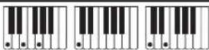 CASIO CT-X8000IN - Fingering Guide - 1