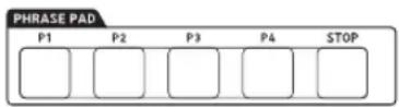 CASIO CT-X8000IN - Using Phrase Pads - 1