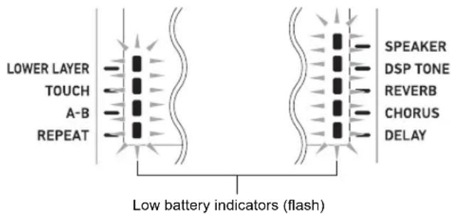 LOWER LAYER TOUCH A-B REPEAT SPEAKER DSP TONE REVERB CHORUS DELAY Low battery indicators (flash)