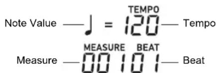 Note Value —— J = 120— Tempo Measure —— MEASURE BEAT Beat