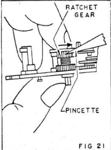 RATCHET GEAR PINCETTE FIG 21