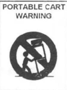 PORTABLE CART WARNING