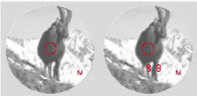 LEICA Geovid Pro 8x42 - DISTANCE MEASUREMENT MADE EASY - 1
