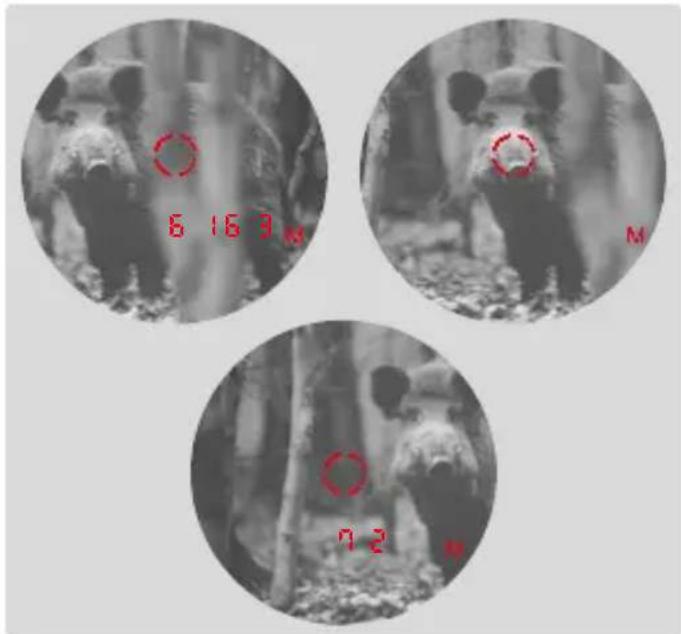 LEICA Geovid Pro 8x42 - SCAN MODE (OBJECT TRACKING) - 1