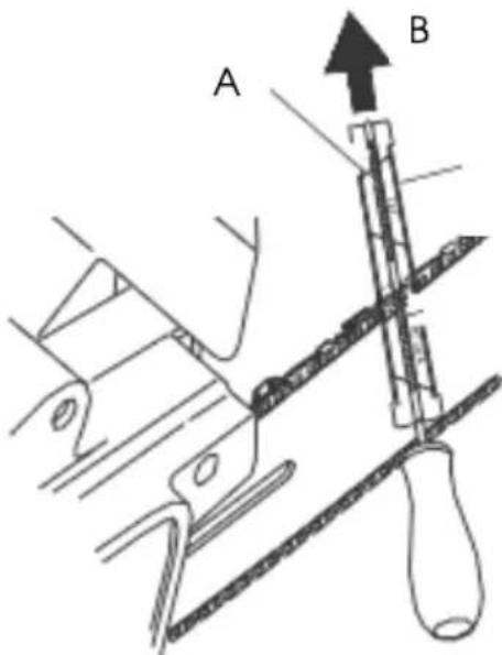A B