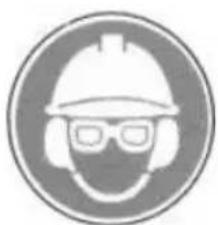 Fieldmann FZP 2030-E - SYMBOLS - 4