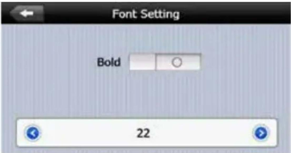 Font Setting Bold 22