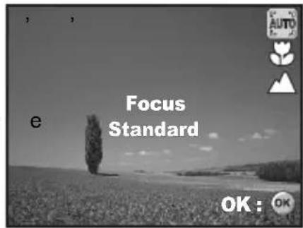 e Focus Standard OK : OK