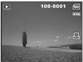 ROLLEI RCP-6324 - Setting the DPOF - 6