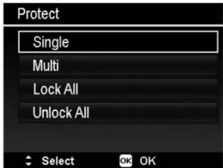 Protect Single Multi Lock All Unlock All Select OK OK