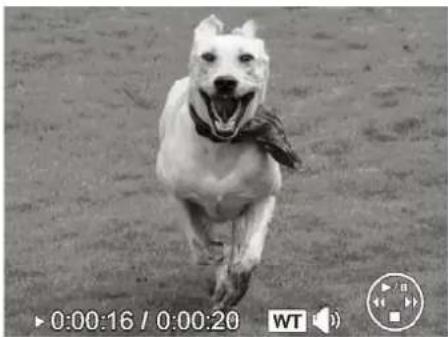 Black-and-white photo of a dog running on grass, wearing a bandana (no text or symbols visible)