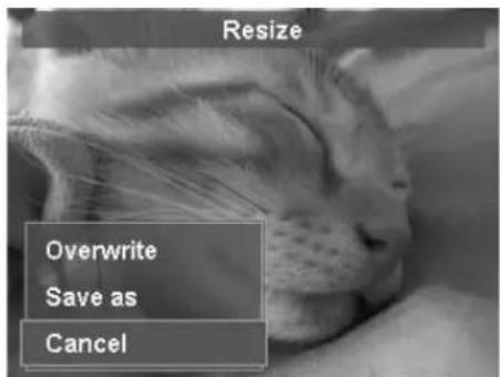 Resize Overwrite Save as Cancel