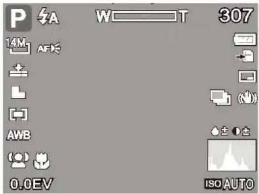 P A W——T 307 14M AF AWB 0.0EV ISO AUTO